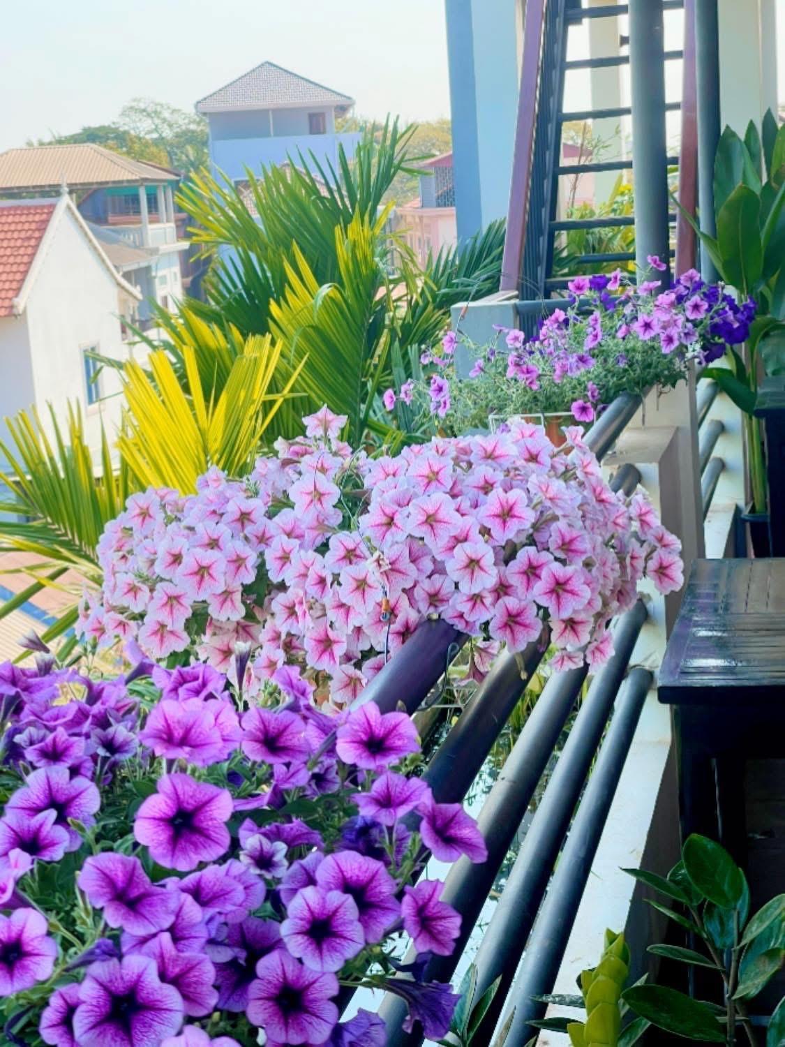 Sunset View Guest House Siem Reap Exteriér fotografie